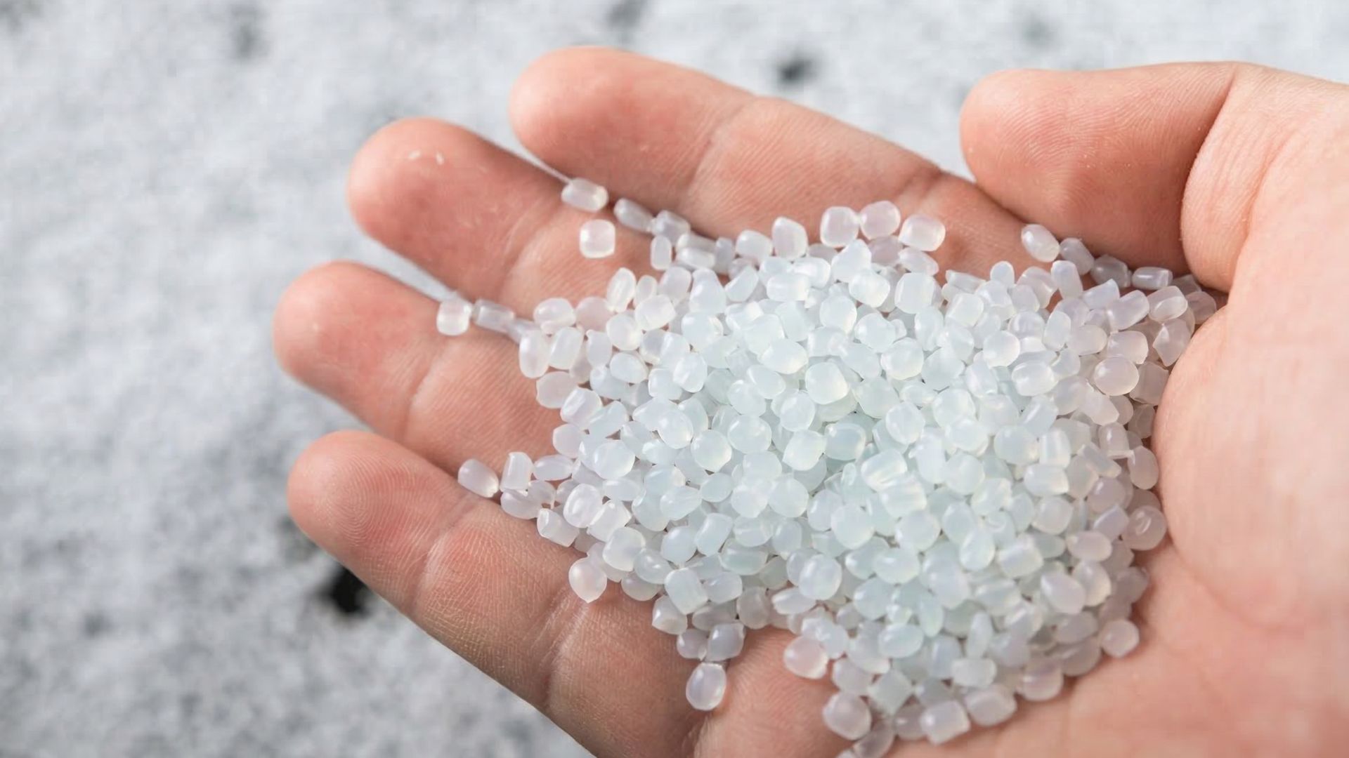 polypropylene granules in a hand