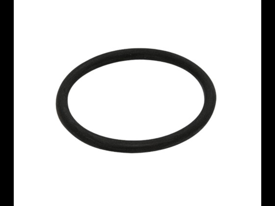 Aseptic union gaskets