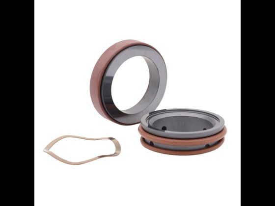 Alfotech's JOHNSON Sterilobe mechanical seal fits Johnson Sterilobe pump and is of high quality. Order online via our webshop today.