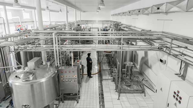 milk factory