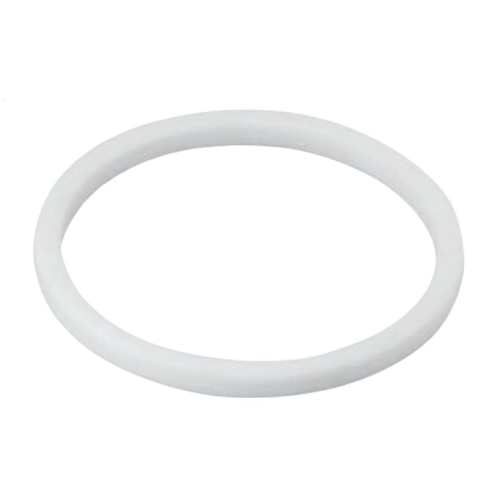 DS union gasket, PTFE