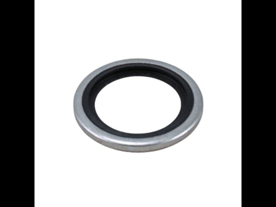 Packing Ring