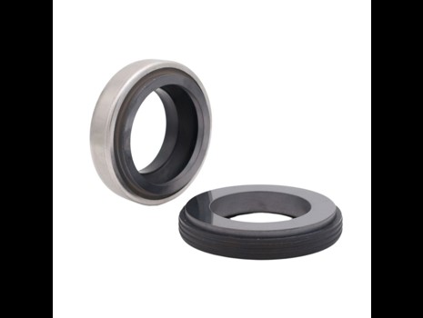 BT mechanical seal