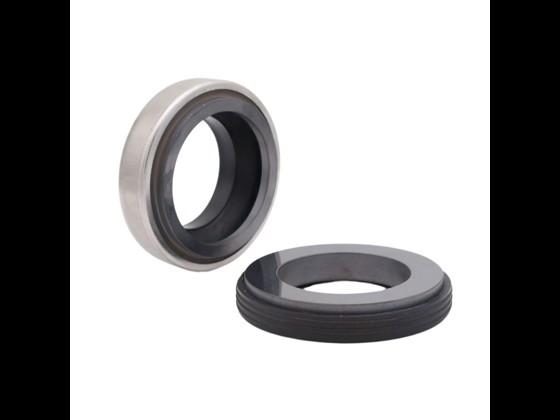 Alfotech's compact BT mechanical seal w/rubber bellows is of high quality. Short working length and suitable for places with limited space. Order online today.